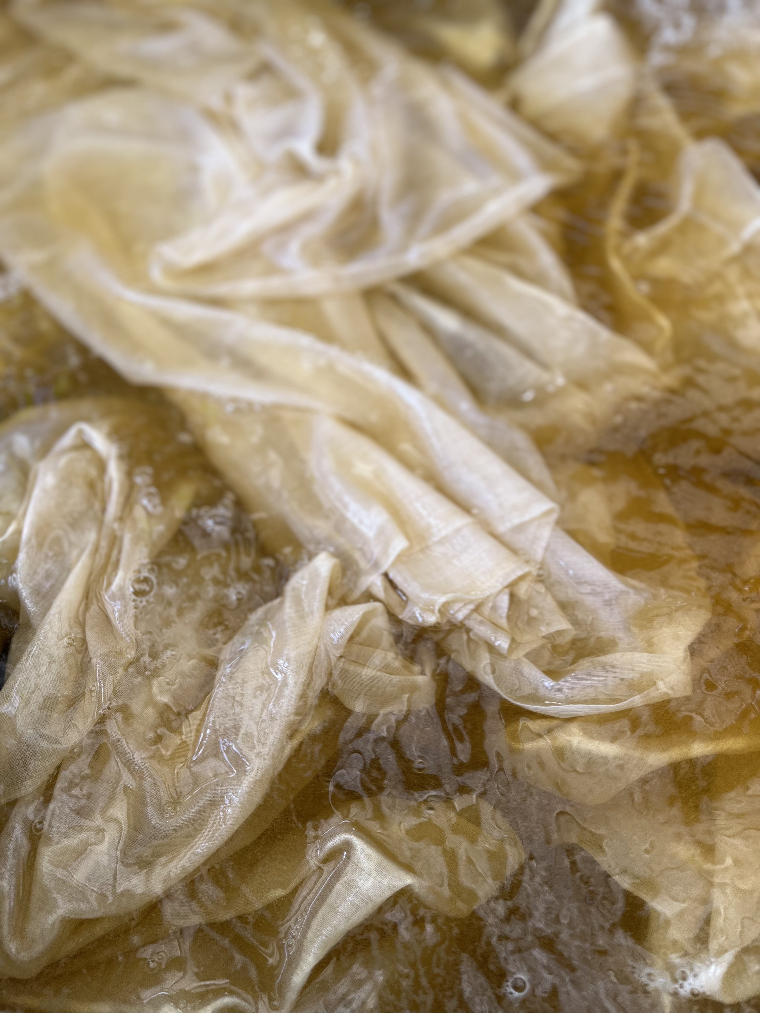 Mushroom dye swatch study