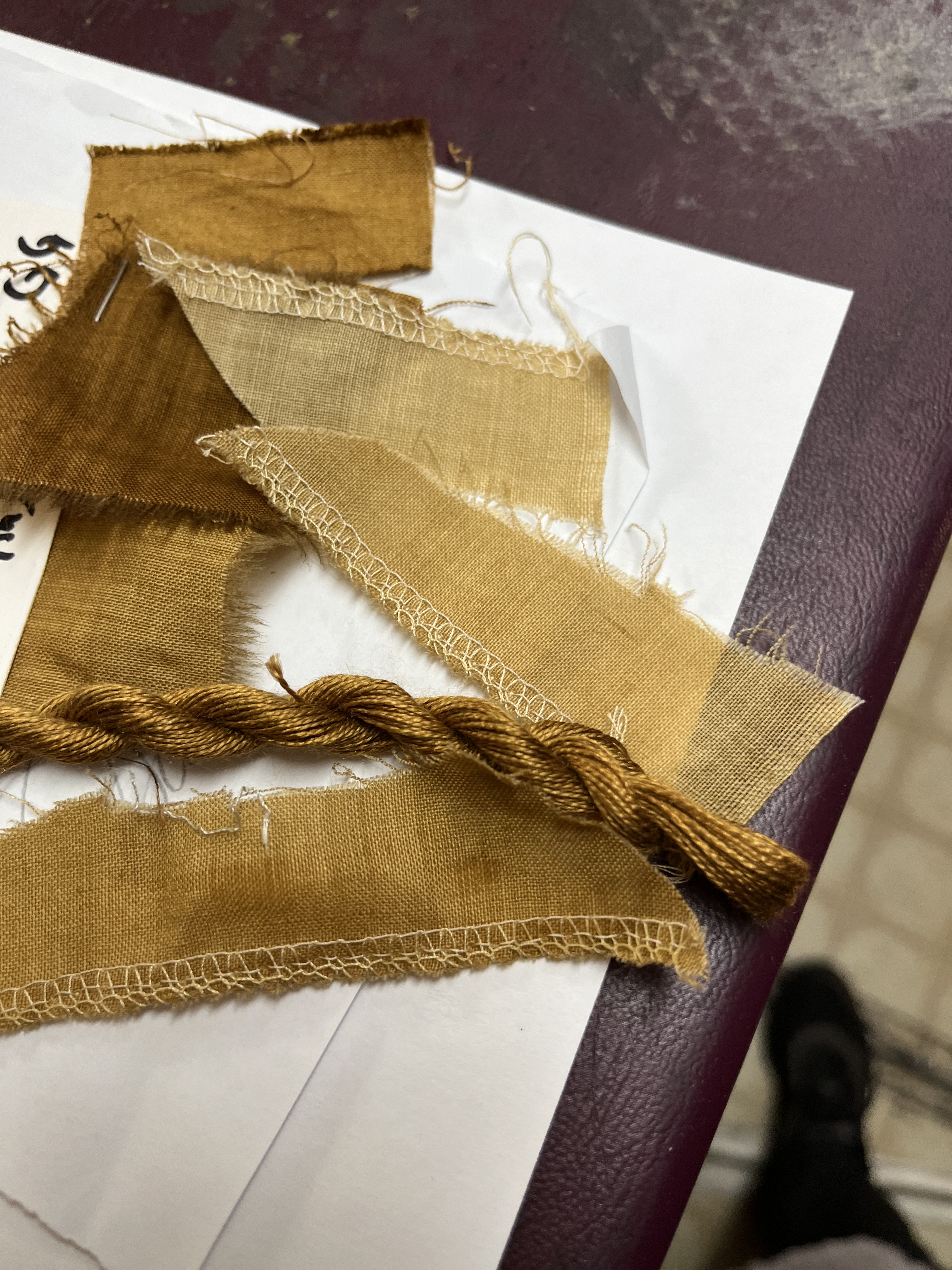Mushroom dye swatch study