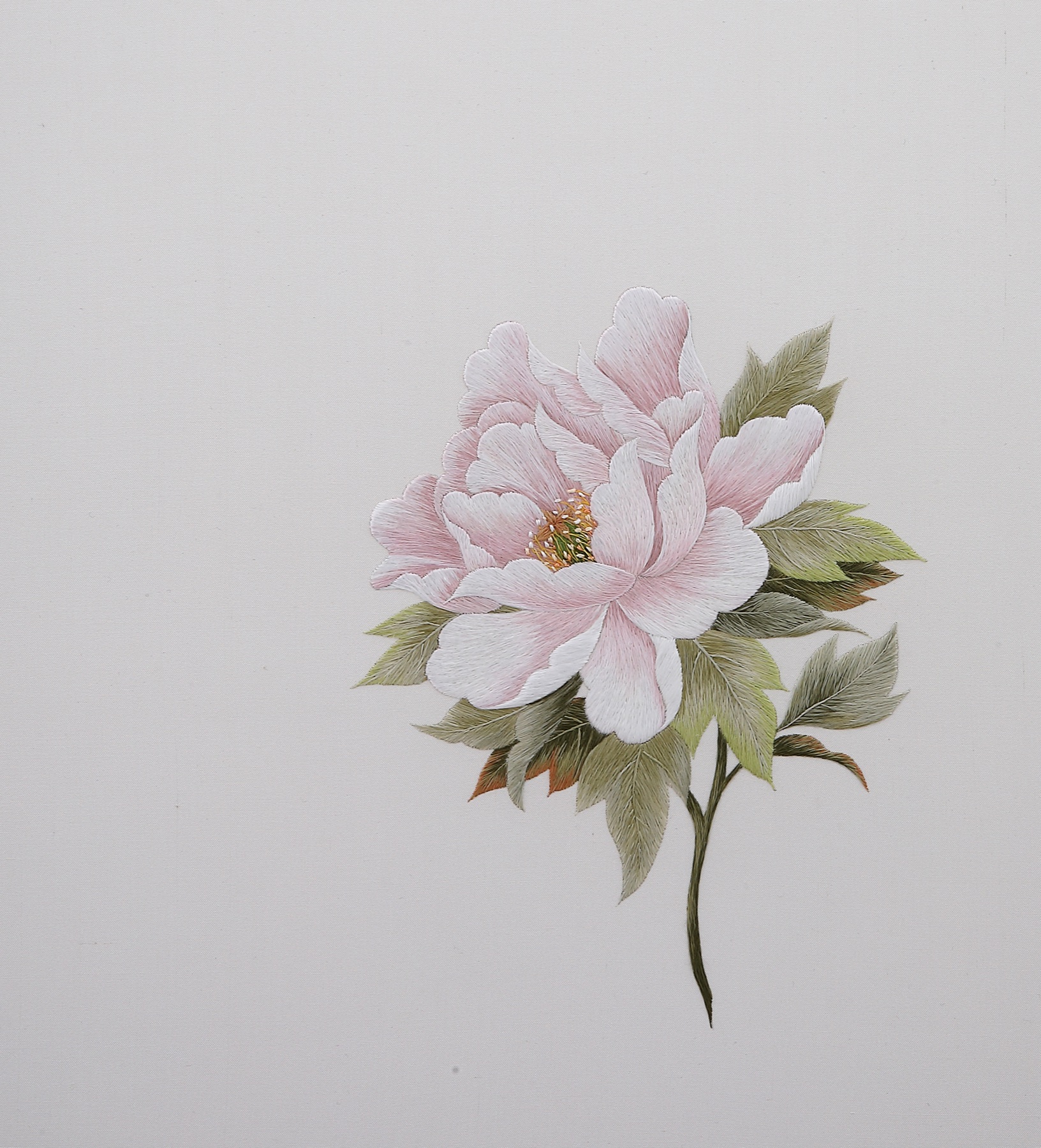 Hand embroidered pale pink peony on silk